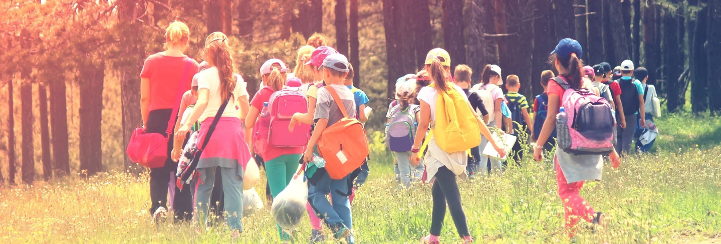 Children on a school trip in a forest